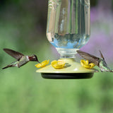 Perky-Pet 9108-2 Desert Bloom Top-Fill Glass Hummingbird Feeder 32 oz - JCS Wildlife