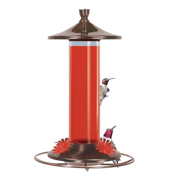 Perky Pet Brushed Metal & Glass Hummingbird Feeder 12oz with four feeding ports and bronze top and base