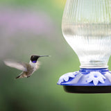 Perky-Pet Grand Oasis Top-Fill Glass Hummingbird Feeder 38 oz - JCS Wildlife
