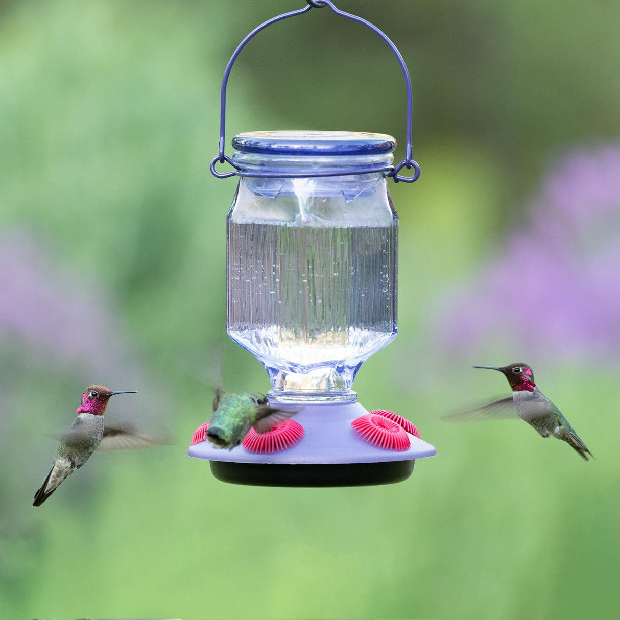 Perky-Pet Lavender Field Top-Fill Glass Hummingbird Feeder 16 oz - JCS Wildlife