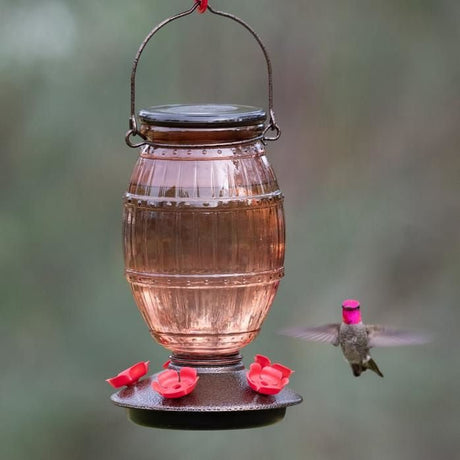 Perky-Pet Prohibition Top-Fill Glass Hummingbird Feeder 36 oz - JCS Wildlife