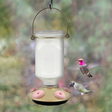 Perky-Pet Sun-Kissed Top-Fill Glass Hummingbird Feeder 22 oz - JCS Wildlife