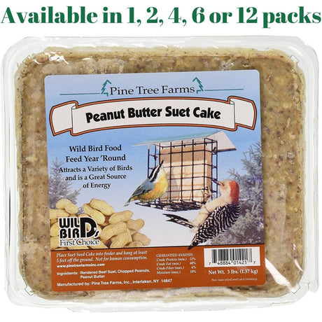 Pine Tree 1421 Peanut Butter Wild Bird Suet Cake, 3-Pound - JCS Wildlife