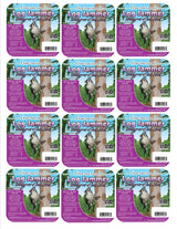 Pine Tree Farms Log Jammer Berry-N-Nut Suet Pack of 3 Plugs (6 or 12 Packs) - JCS Wildlife