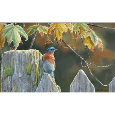 Bluebird perched on rustic wooden fence surrounded by autumn leaves in a serene garden setting.